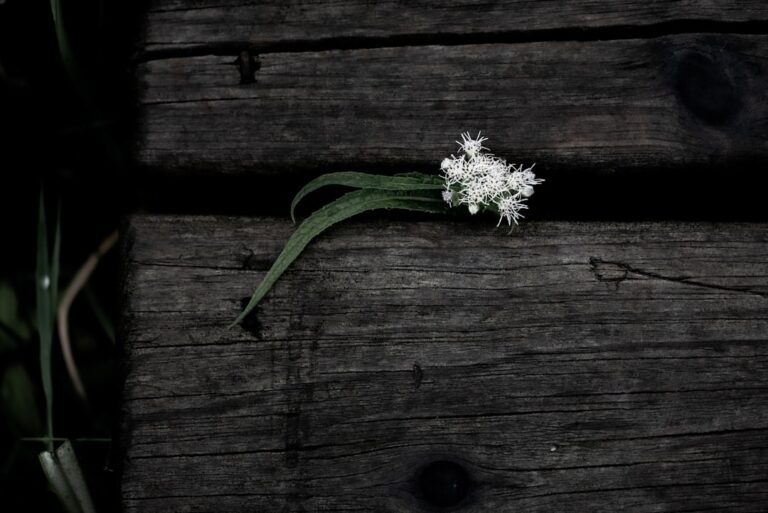 Cele mai bune practici pentru a-ți menține optimismul în fața adversităților