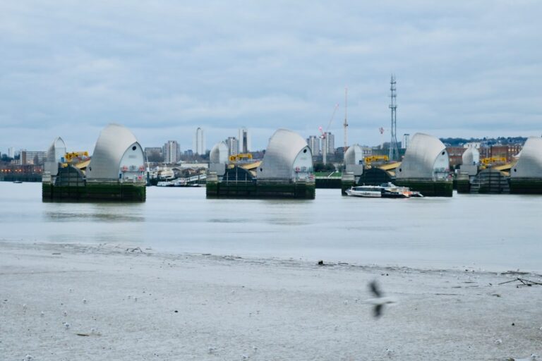 Cum să te adaptezi la un nou mediu de lucru