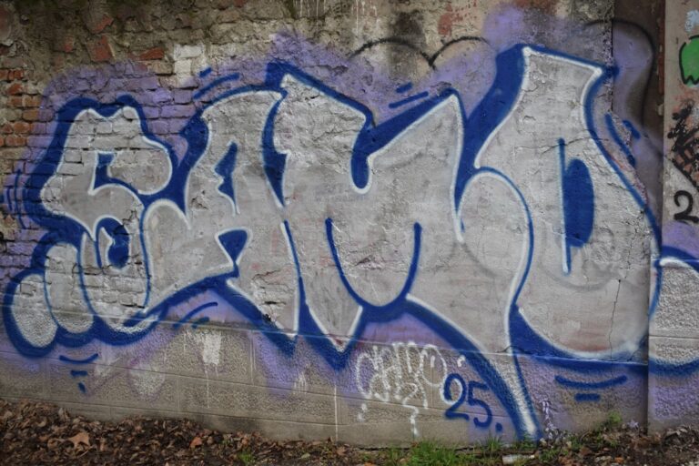 soro sau sor-o – Cum se scrie corect