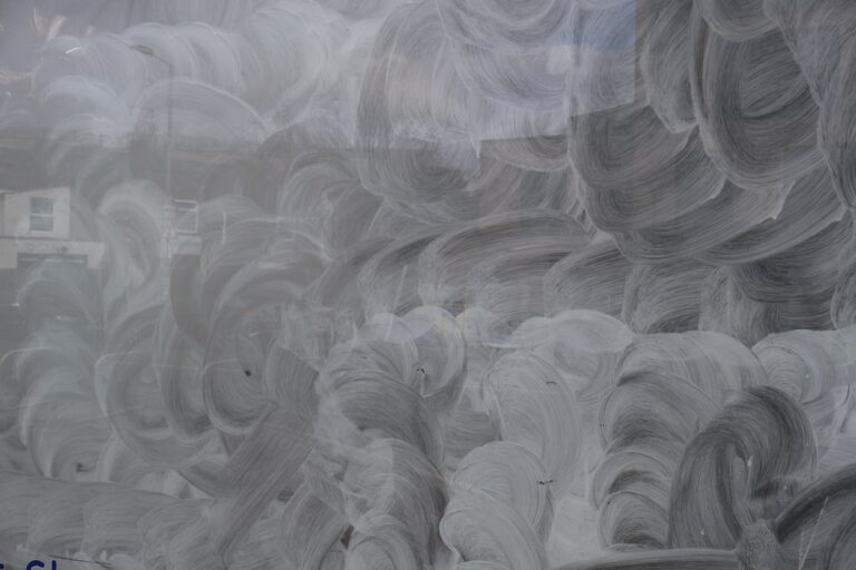 Cum să folosești plantele pentru purificarea aerului