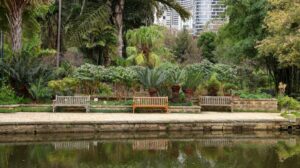 Cum să alegi plantele potrivite pentru grădină urbană