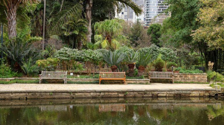 Cum să alegi plantele potrivite pentru grădină urbană